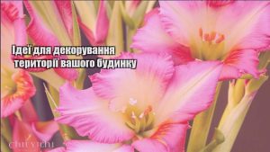 Детальніше про статтю Ідеї для декорування території вашого будинку