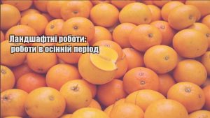 Детальніше про статтю Ландшафтні роботи: роботи в осінній період