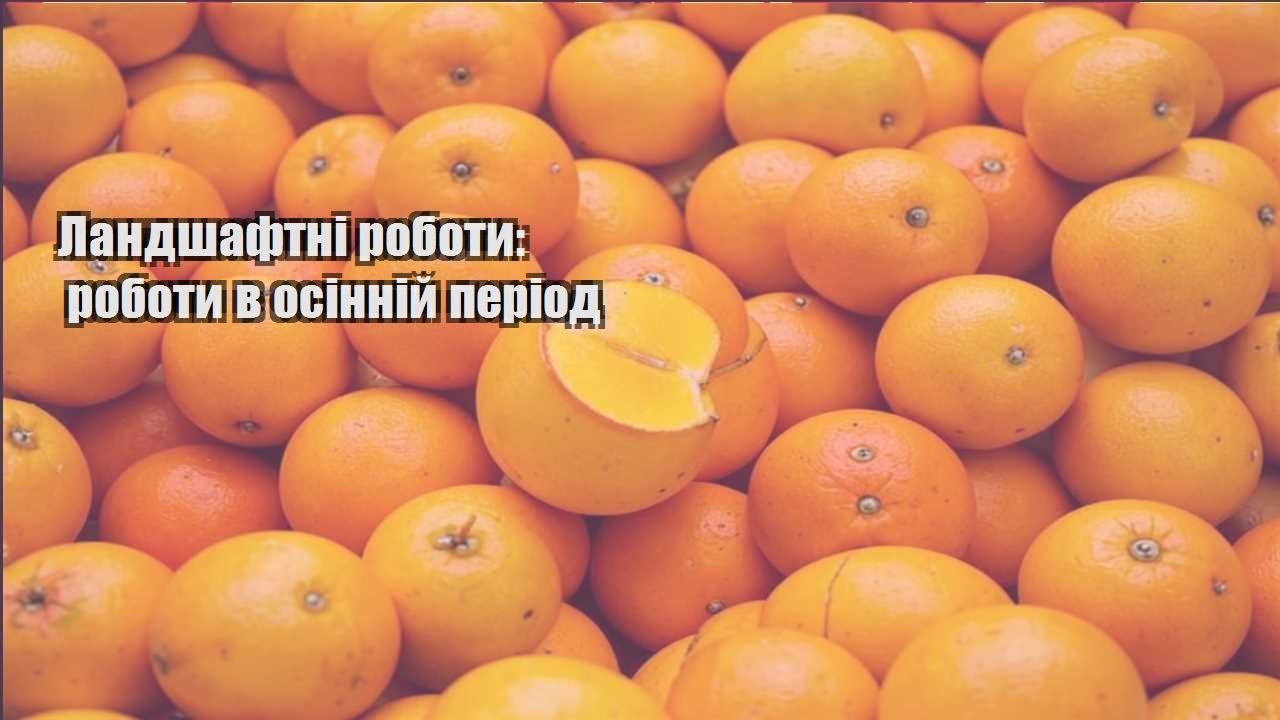 Ви зараз переглядаєте Ландшафтні роботи: роботи в осінній період