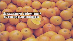 Детальніше про статтю Ландшафтний архітектурний дизайн: ідеї для натхнення