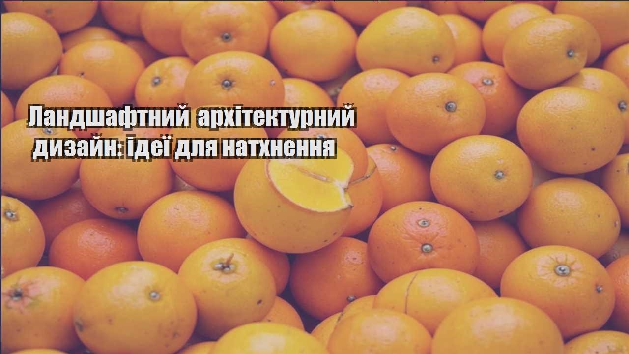 Ви зараз переглядаєте Ландшафтний архітектурний дизайн: ідеї для натхнення