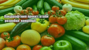 Детальніше про статтю Ландшафтний проект: етапи розробки концепції