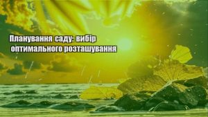 Детальніше про статтю Планування саду: вибір оптимального розташування