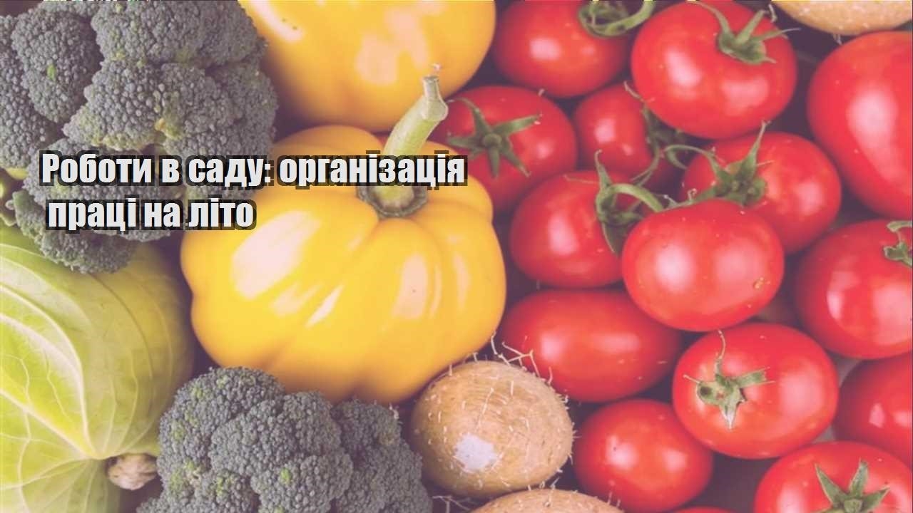 Ви зараз переглядаєте Роботи в саду: організація праці на літо