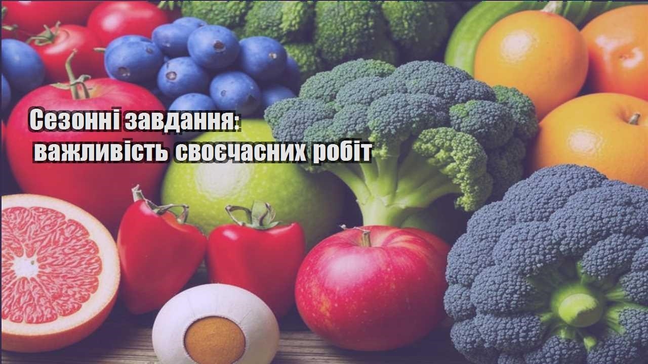 Ви зараз переглядаєте Сезонні завдання: важливість своєчасних робіт