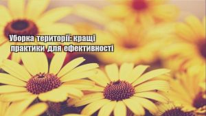 Детальніше про статтю Уборка території: кращі практики для ефективності