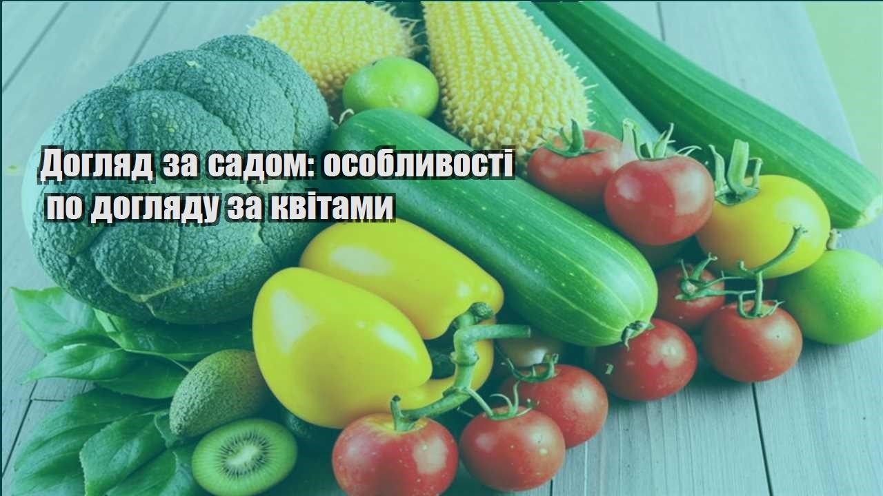 Детальніше про статтю Догляд за садом: особливості по догляду за квітами