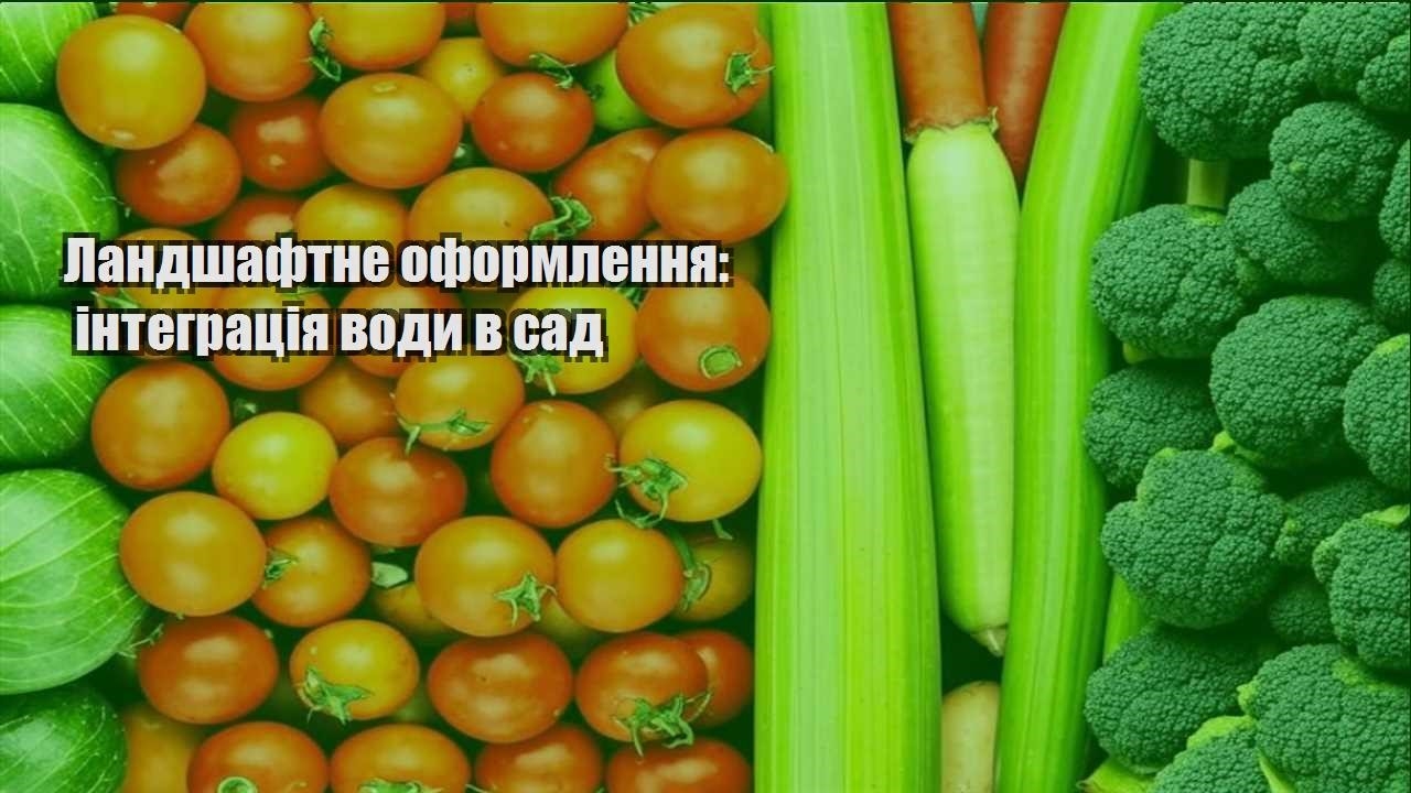 Ви зараз переглядаєте Ландшафтне оформлення: інтеграція води в сад
