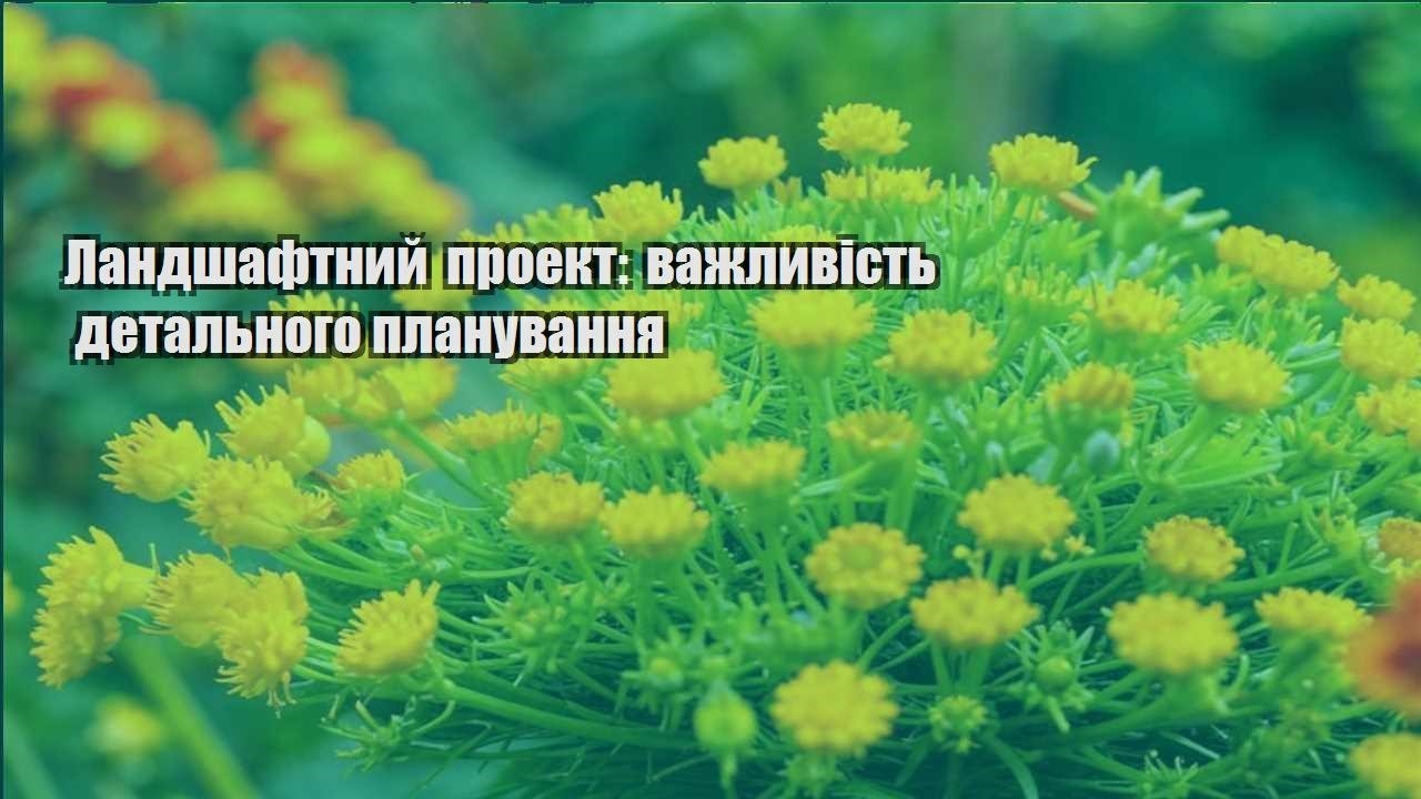 Ви зараз переглядаєте Ландшафтний проект: важливість детального планування