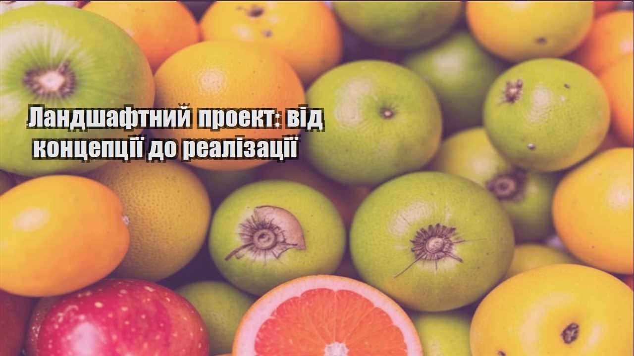 Ви зараз переглядаєте Ландшафтний проект: від концепції до реалізації