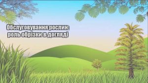 Детальніше про статтю Обслуговування рослин: роль обрізки в догляді