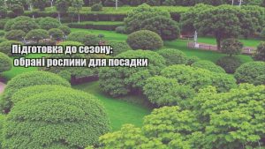Детальніше про статтю Підготовка до сезону: обрані рослини для посадки