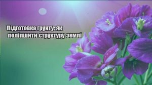 Детальніше про статтю Підготовка грунту: як поліпшити структуру землі