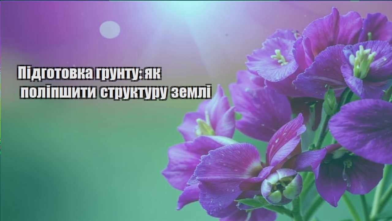 Детальніше про статтю Підготовка грунту: як поліпшити структуру землі