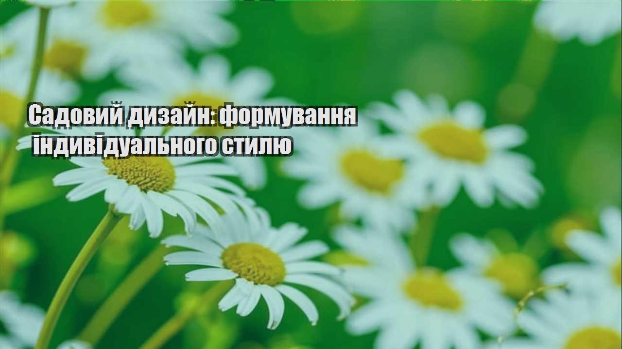 Ви зараз переглядаєте Садовий дизайн: формування індивідуального стилю
