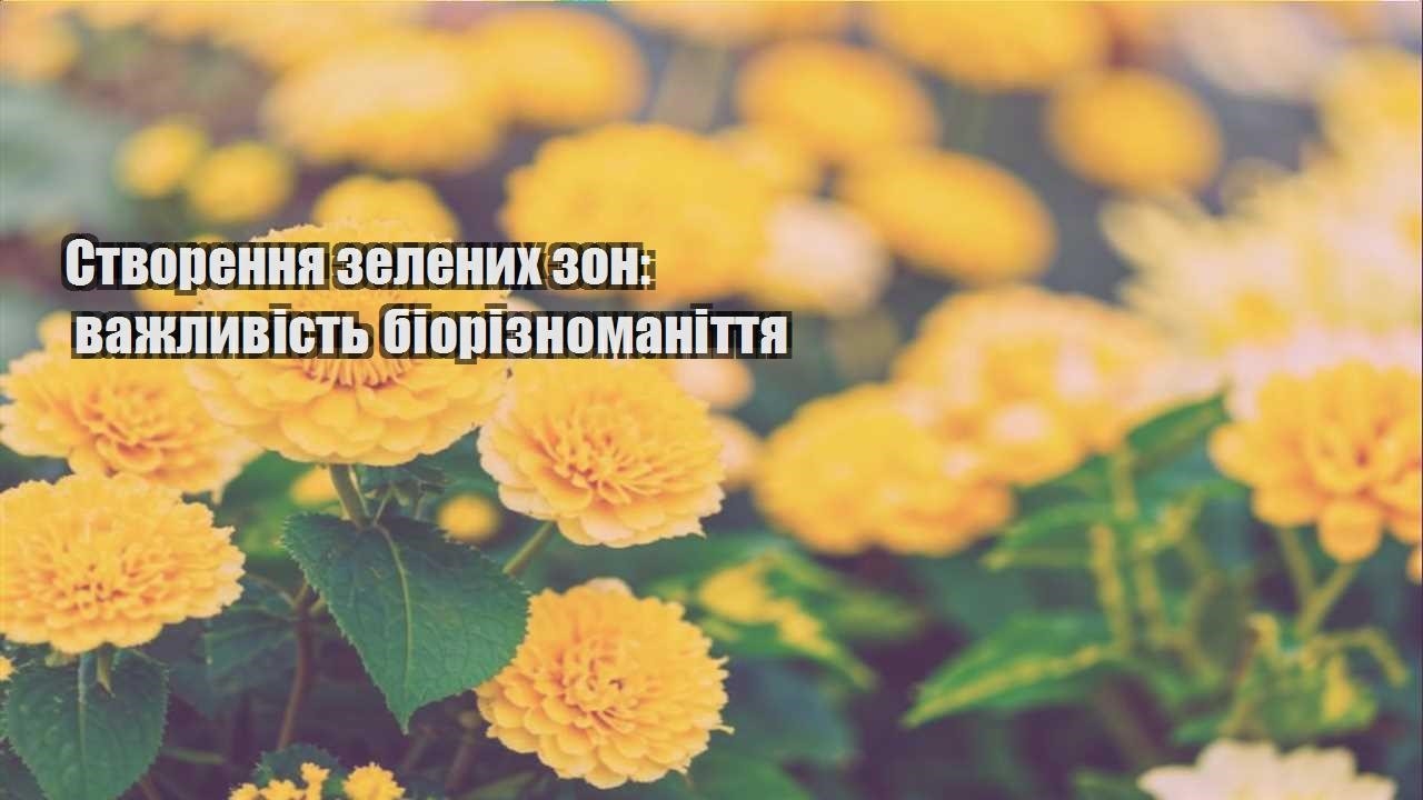 Ви зараз переглядаєте Створення зелених зон: важливість біорізноманіття