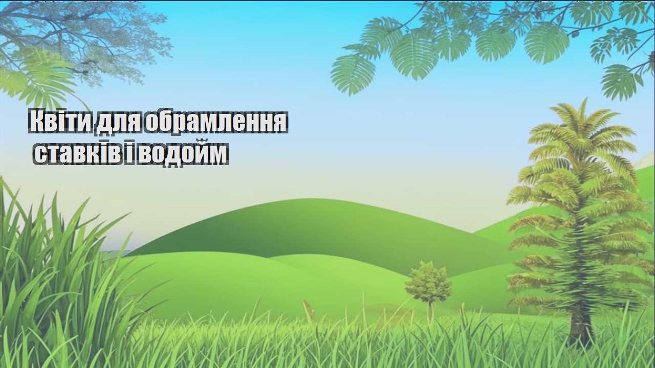 Детальніше про статтю Квіти для обрамлення ставків і водойм