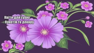 Детальніше про статтю Квіти для сухих букетів та декору