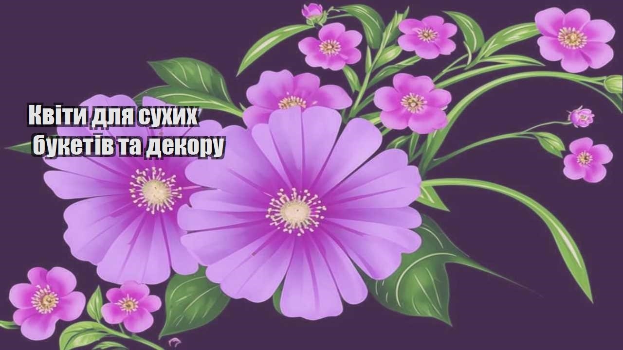 Детальніше про статтю Квіти для сухих букетів та декору