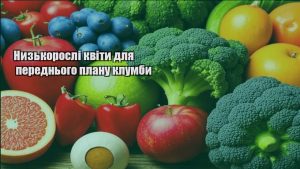 Детальніше про статтю Низькорослі квіти для переднього плану клумби