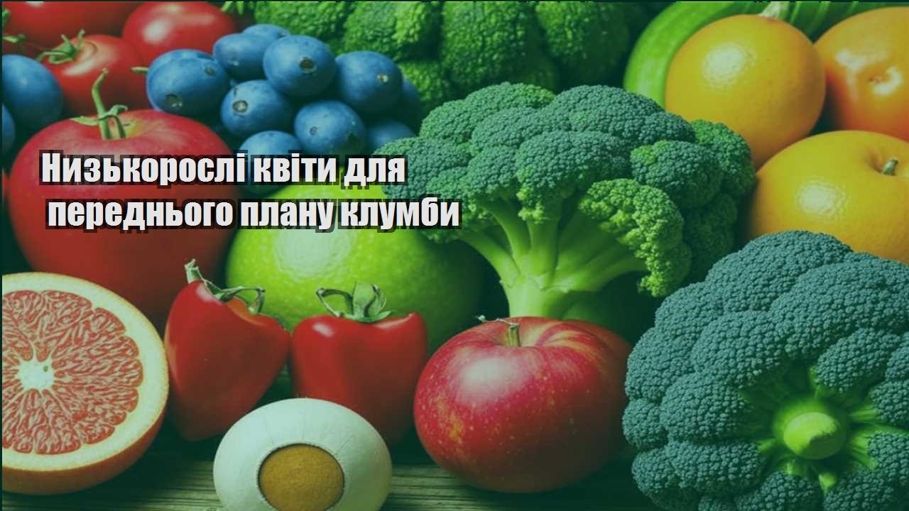 Детальніше про статтю Низькорослі квіти для переднього плану клумби