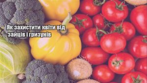 Детальніше про статтю Як захистити квіти від зайців і гризунів