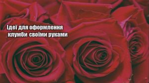 Детальніше про статтю Ідеї для оформлення клумби своїми руками