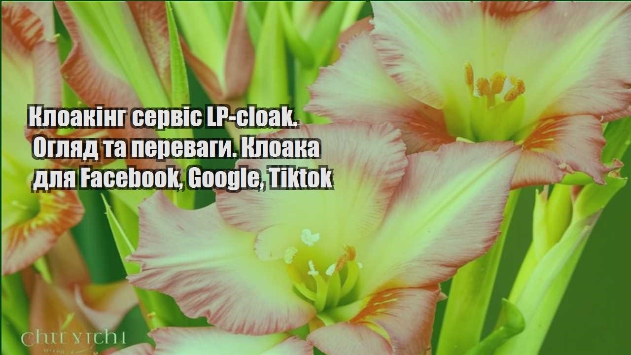 Детальніше про статтю Клоакінг сервіс LP-cloak. Огляд та переваги. Клоака для Facebook, Google, Tiktok