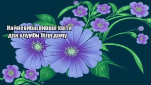 Детальніше про статтю Найневибагливіші квіти для клумби біля дому