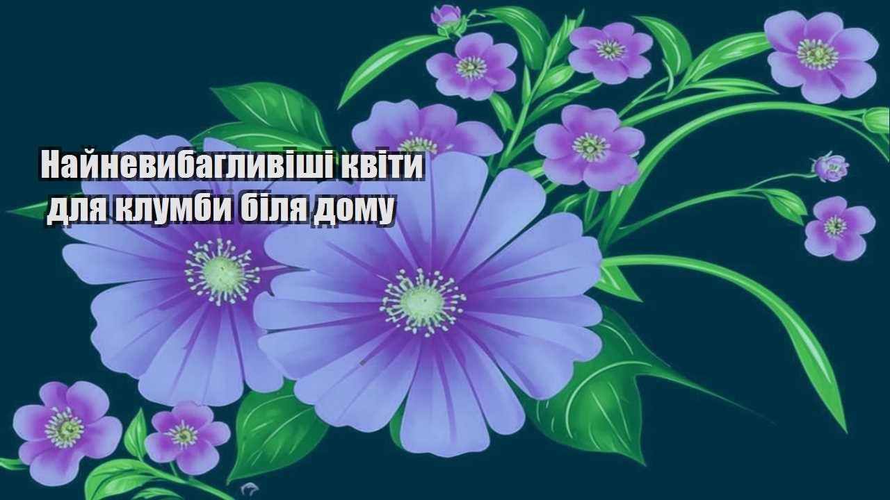 Ви зараз переглядаєте Найневибагливіші квіти для клумби біля дому