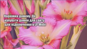 Детальніше про статтю Парковка домену. Де купувати домен для сайту для підключення в LP-Mobi