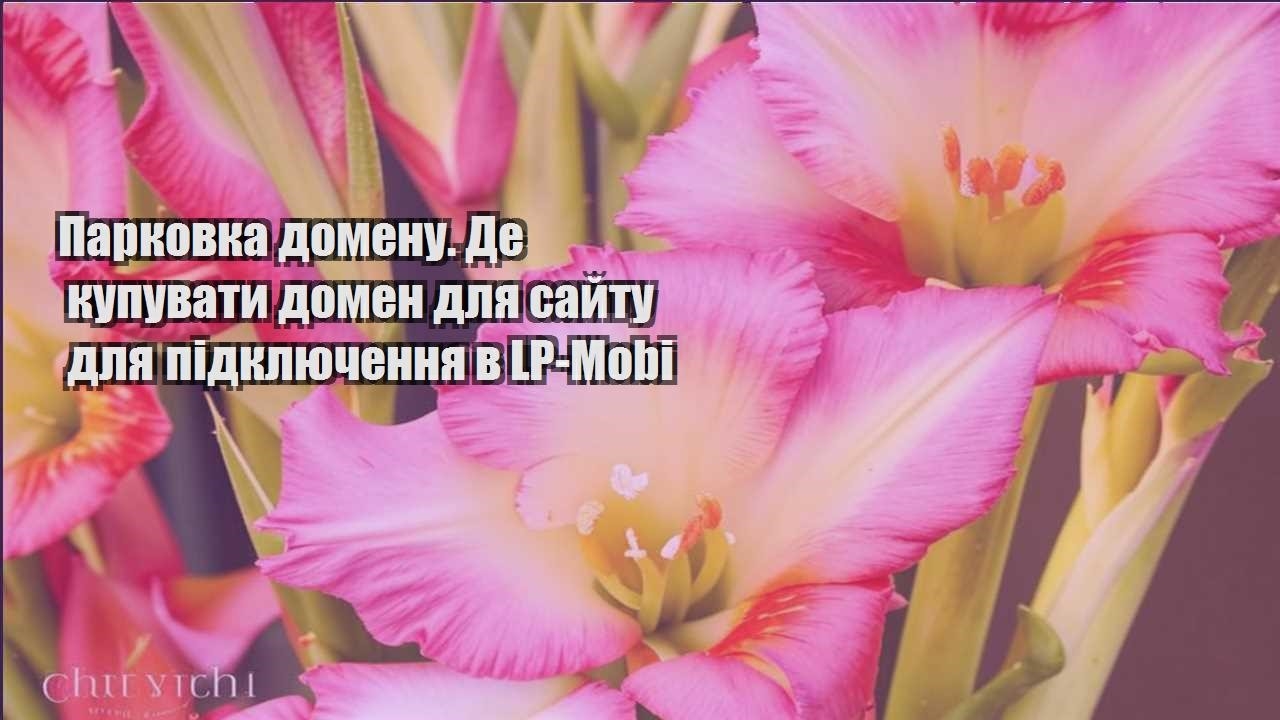 Детальніше про статтю Парковка домену. Де купувати домен для сайту для підключення в LP-Mobi