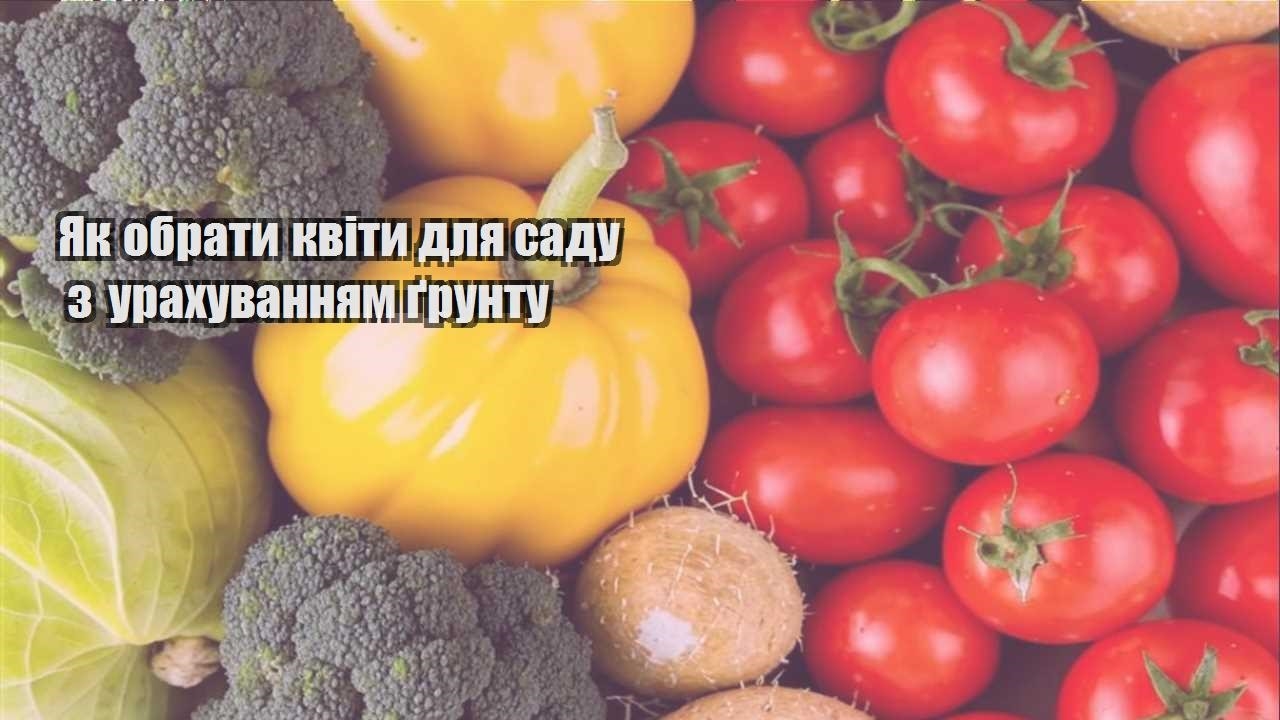 Детальніше про статтю Як обрати квіти для саду з урахуванням ґрунту