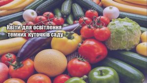 Детальніше про статтю Квіти для освітлення темних куточків саду