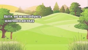 Детальніше про статтю Квіти, які не потребують щорічного догляду