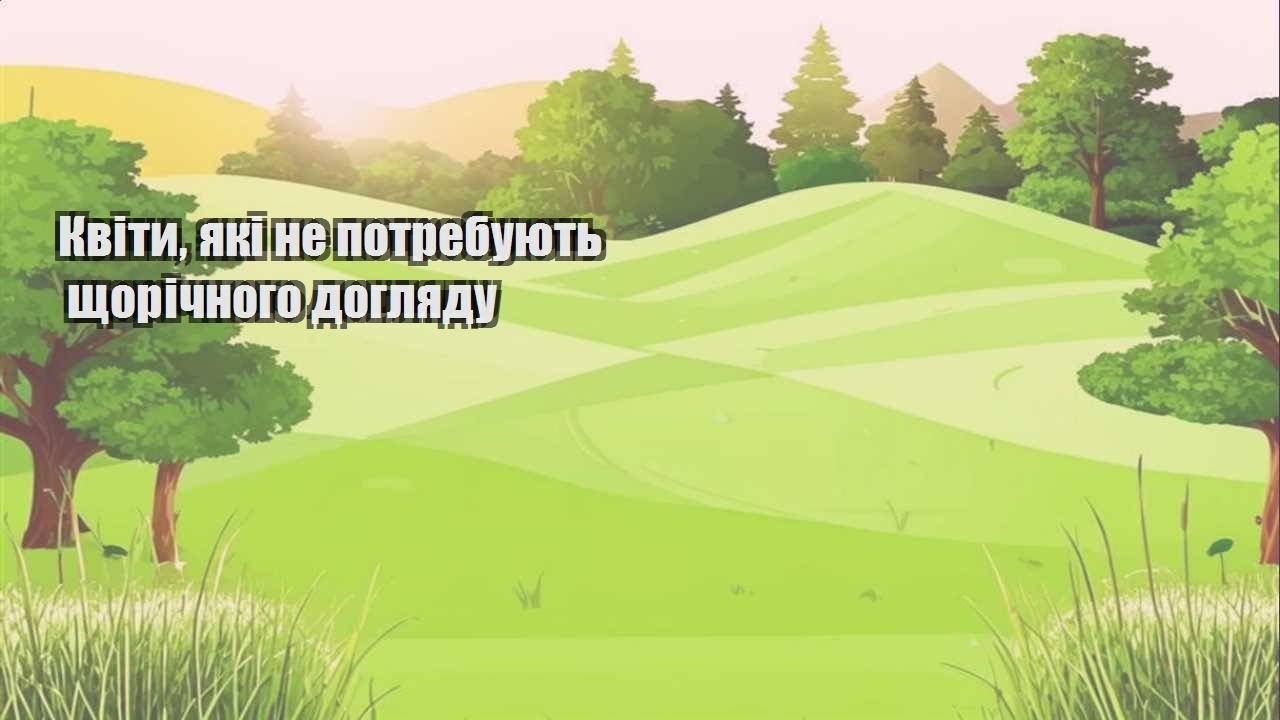Детальніше про статтю Квіти, які не потребують щорічного догляду