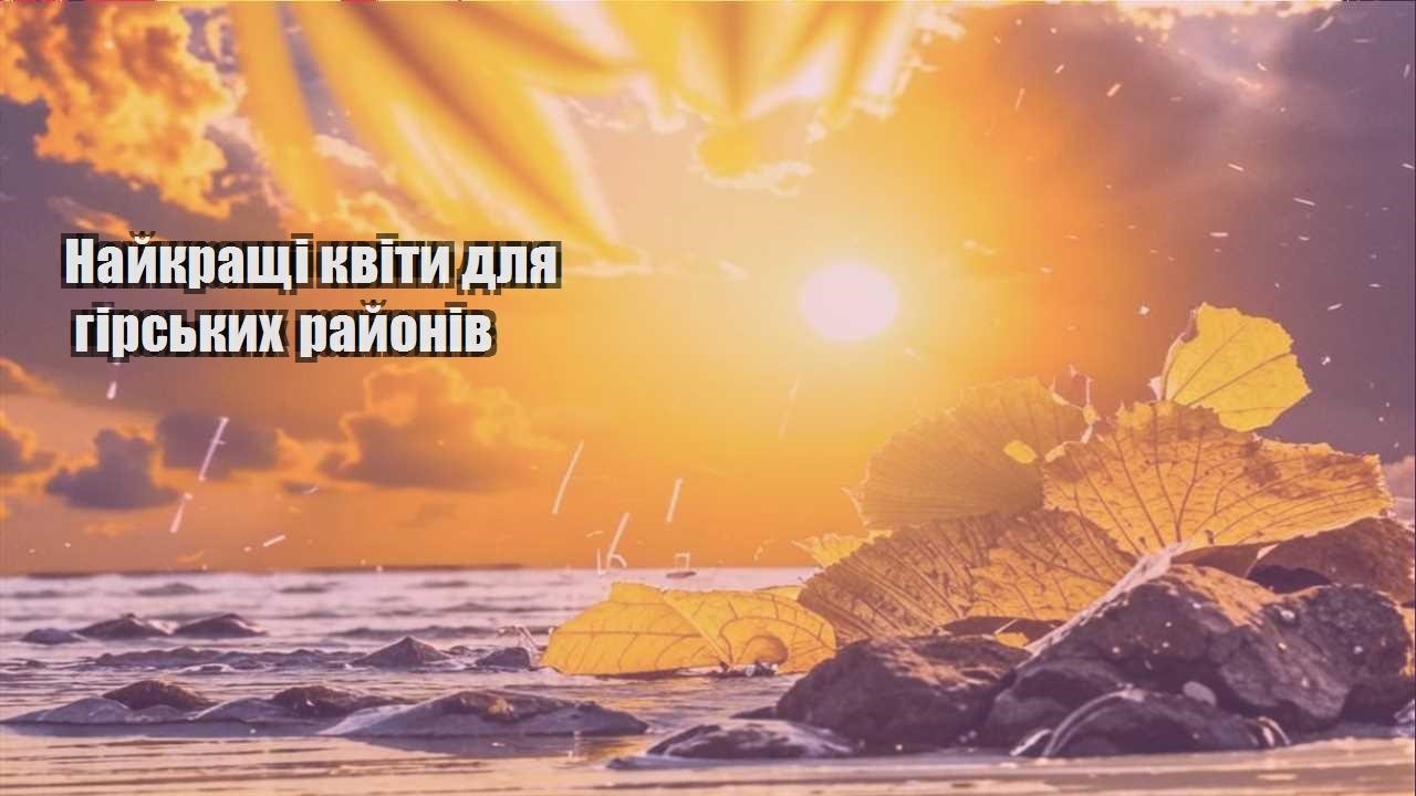 Детальніше про статтю Найкращі квіти для гірських районів