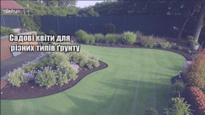 Детальніше про статтю Садові квіти для різних типів ґрунту