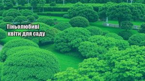 Детальніше про статтю Тіньолюбиві квіти для саду