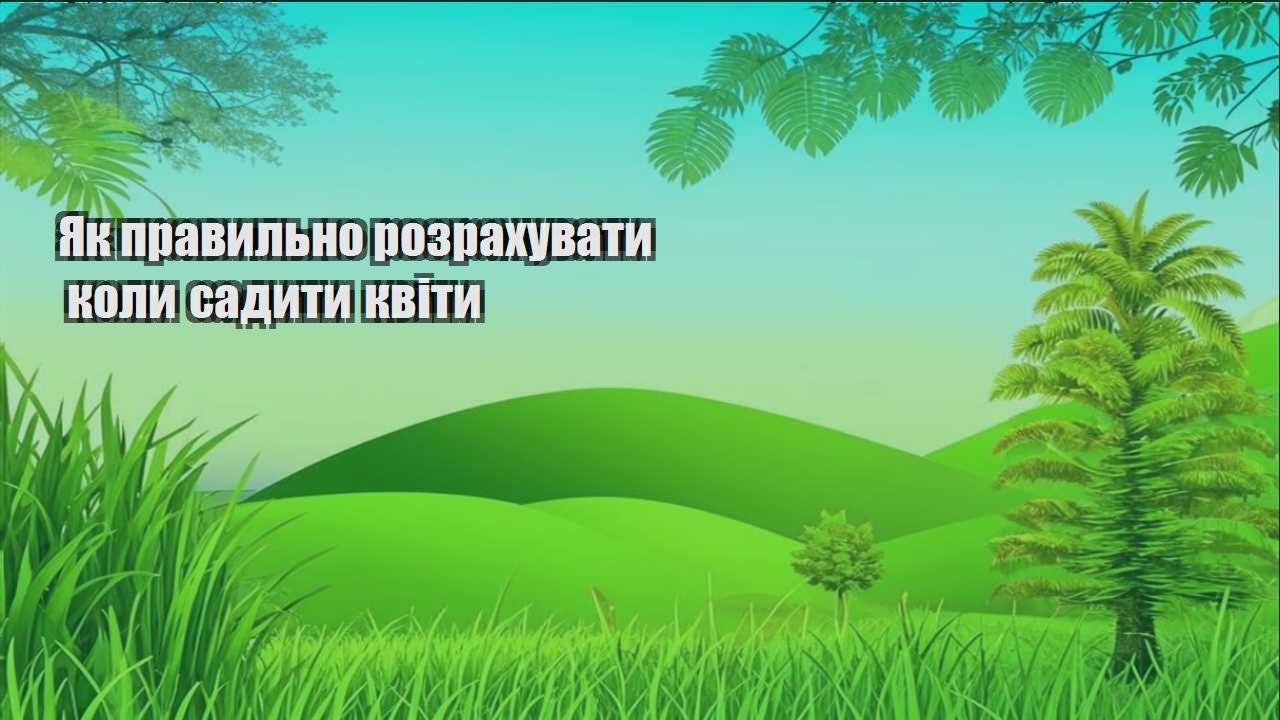 Детальніше про статтю Як правильно розрахувати коли садити квіти