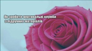 Детальніше про статтю Як зробити вертикальні клумби з підручних матеріалів