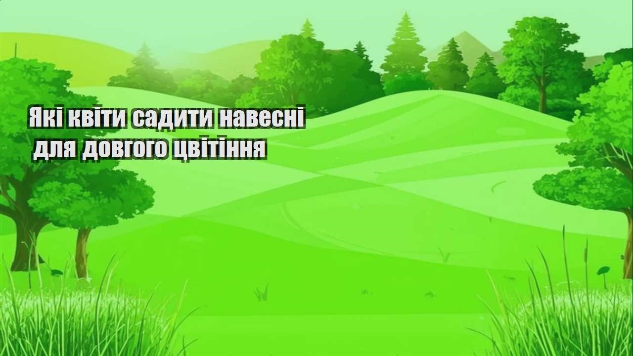 Детальніше про статтю Які квіти садити навесні для довгого цвітіння