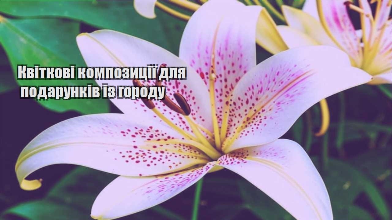Ви зараз переглядаєте Квіткові композиції для подарунків із городу