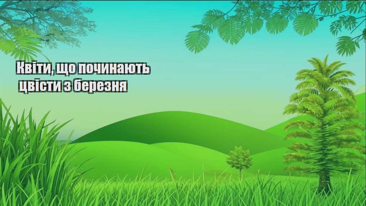 Детальніше про статтю Квіти, що починають цвісти з березня