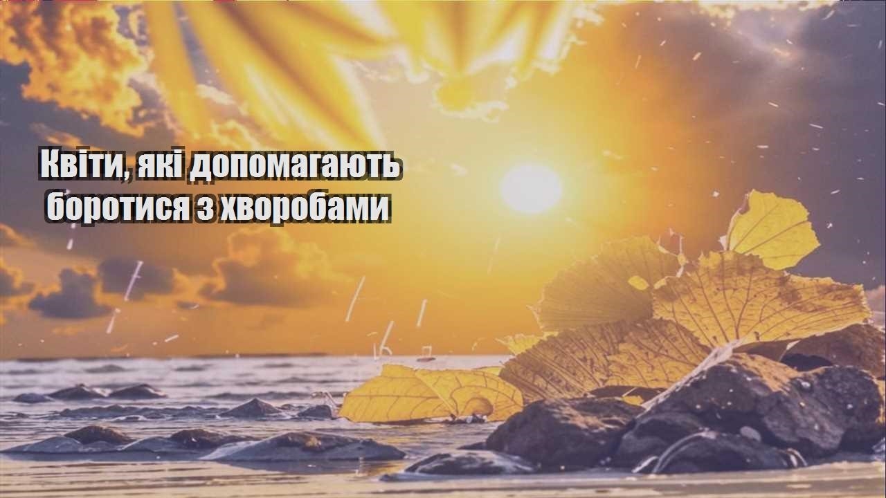 Ви зараз переглядаєте Квіти, які допомагають боротися з хворобами