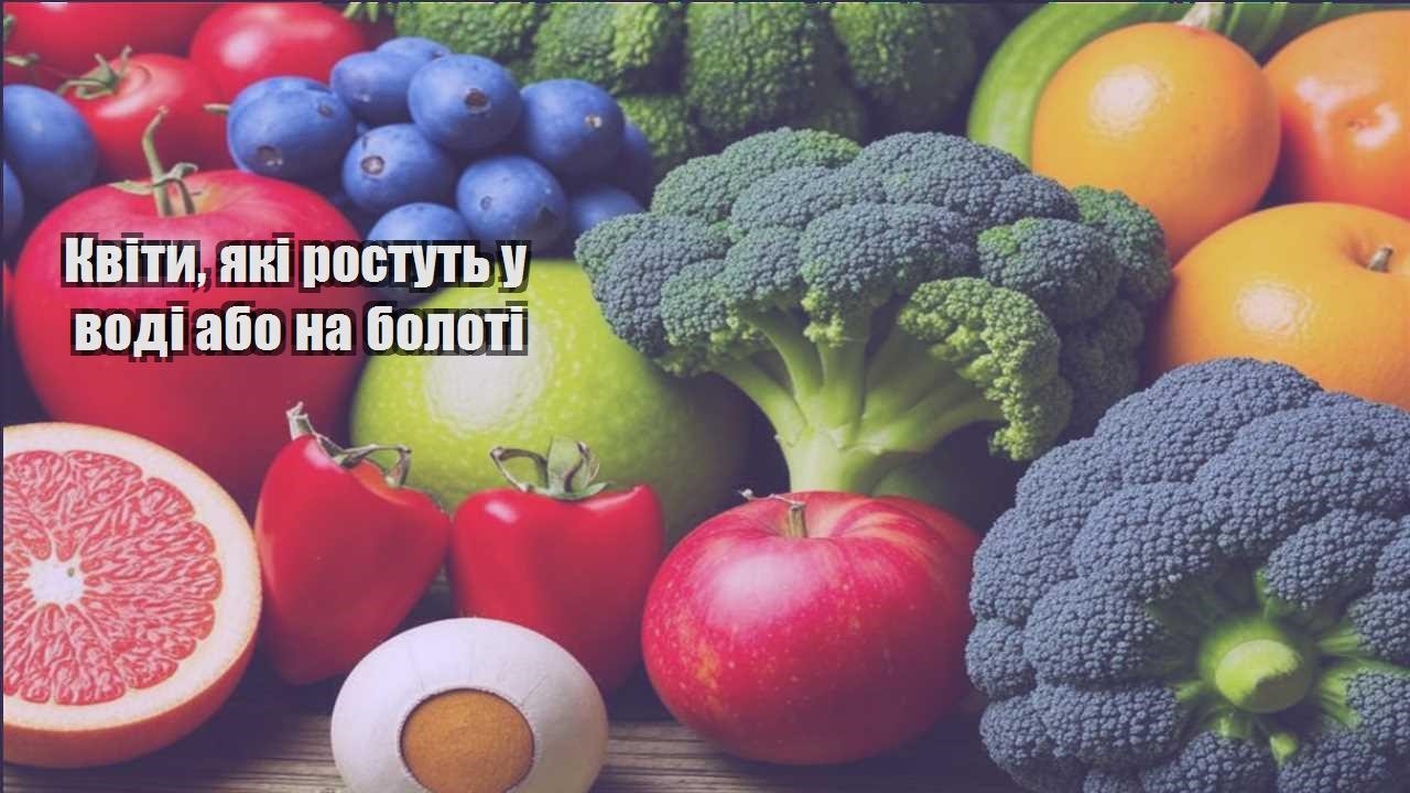 Детальніше про статтю Квіти, які ростуть у воді або на болоті