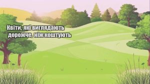 Детальніше про статтю Квіти, які виглядають дорожче, ніж коштують