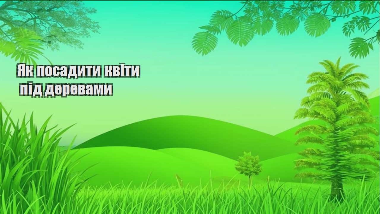 Ви зараз переглядаєте Як посадити квіти під деревами