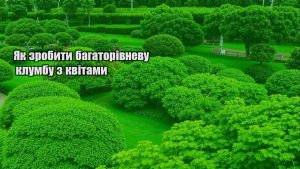 Детальніше про статтю Як зробити багаторівневу клумбу з квітами