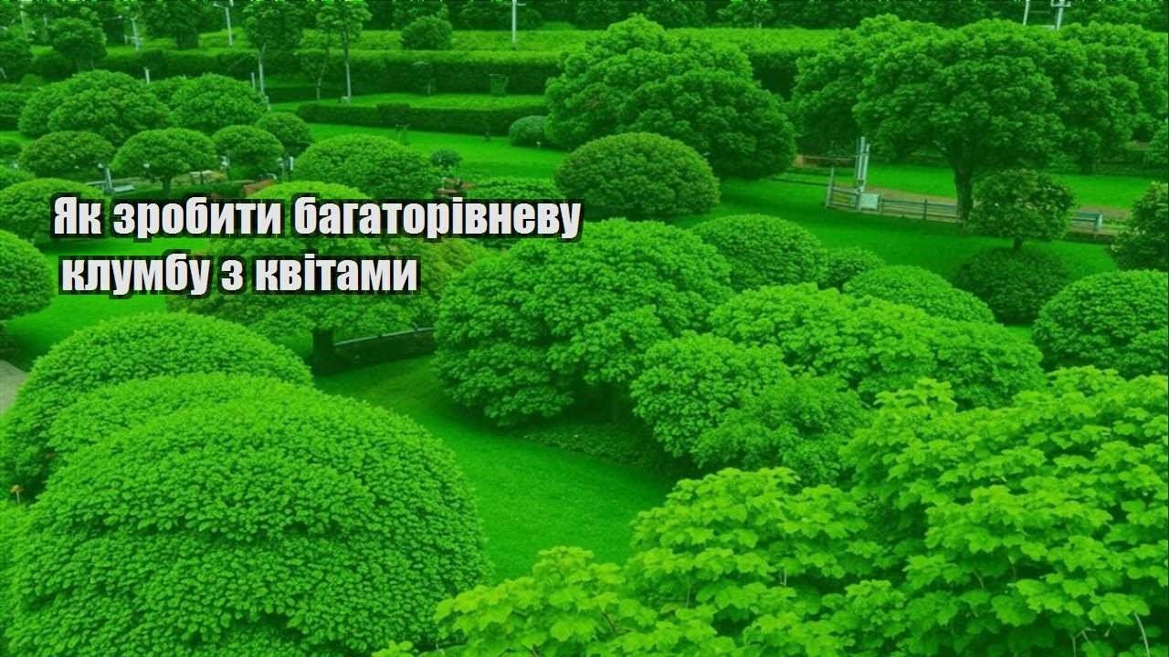 Ви зараз переглядаєте Як зробити багаторівневу клумбу з квітами
